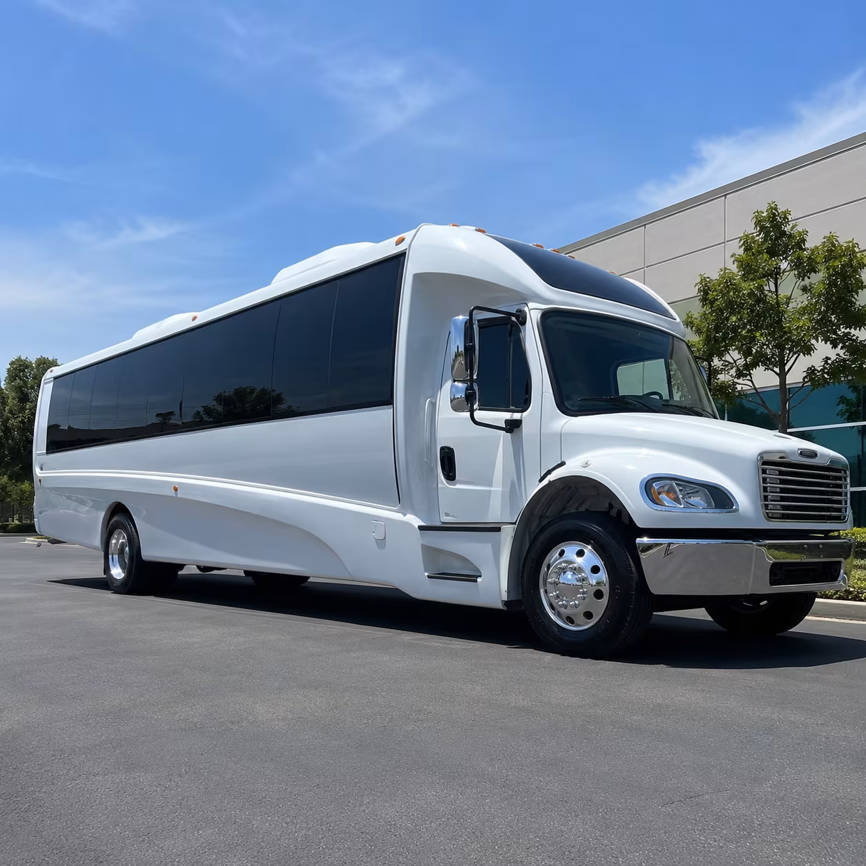 buffalo 15 passenger minibus