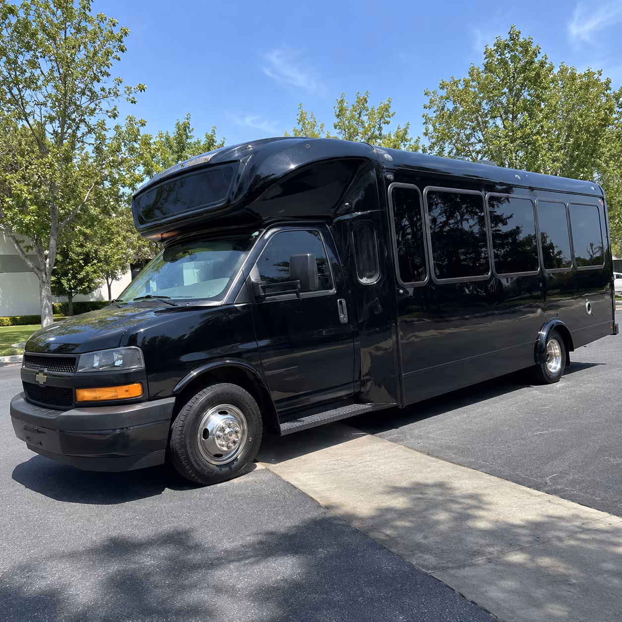 buffalo 15 passenger party bus