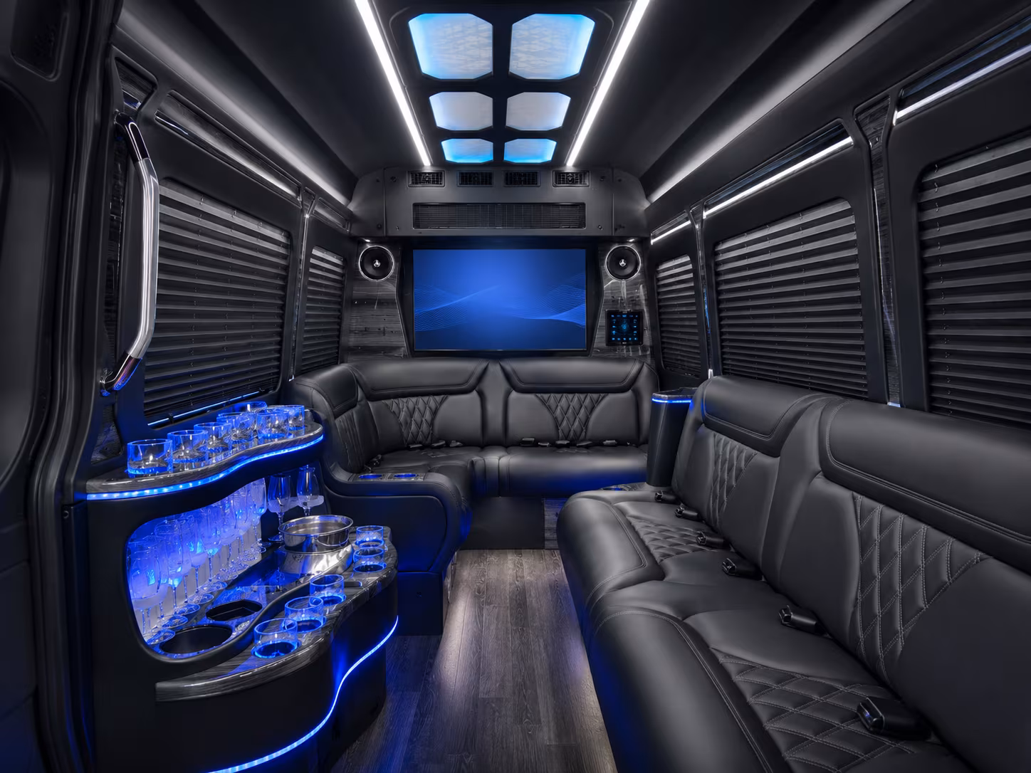 buffalo 50 passenger party bus interior