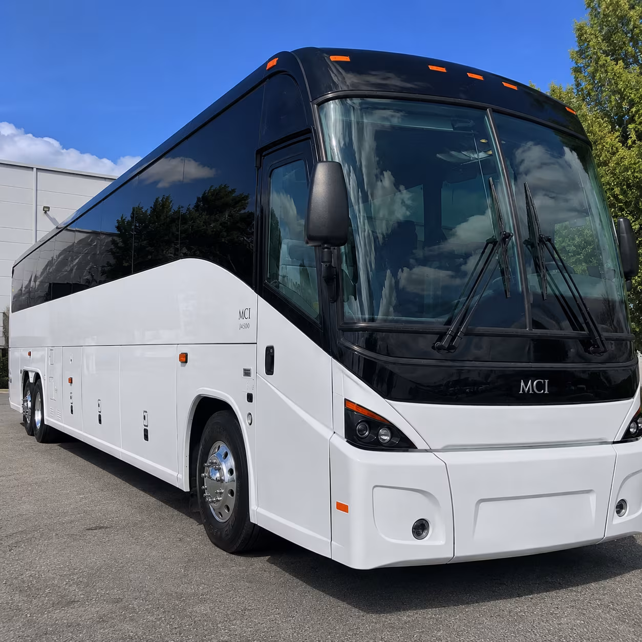 buffalo 56 passenger charter bus